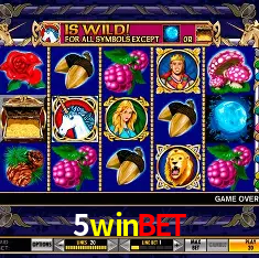 5winbet Salvador - Bonus Stats